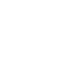 File:EVOLVED-BATTERY.png