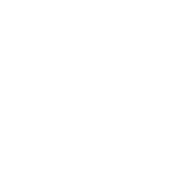 File:EVOLVED-HEADLIGHT.png
