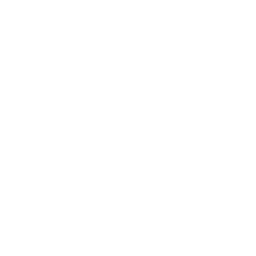 File:PARASITE-FUEL.png