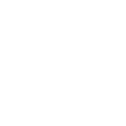 File:EVOLVED-ENGINE.png