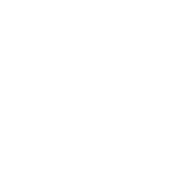 File:EVOLVED-PANEL.png