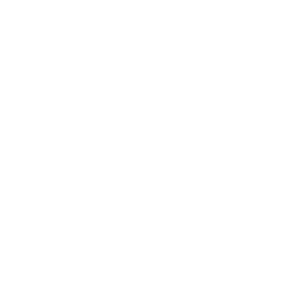 File:EVOLVED-BUMPER.png