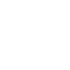 Ion Shield