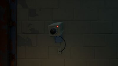 Mounted Security Camera