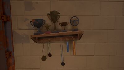 Mounted Trophies and Medals