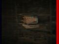 Thumbnail for version as of 06:05, 28 September 2025