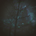 Thumbnail for version as of 22:49, 1 October 2025