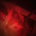 Thumbnail for version as of 22:49, 1 October 2025