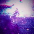 Thumbnail for version as of 01:45, 9 October 2025