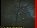 Thumbnail for version as of 01:29, 10 September 2025