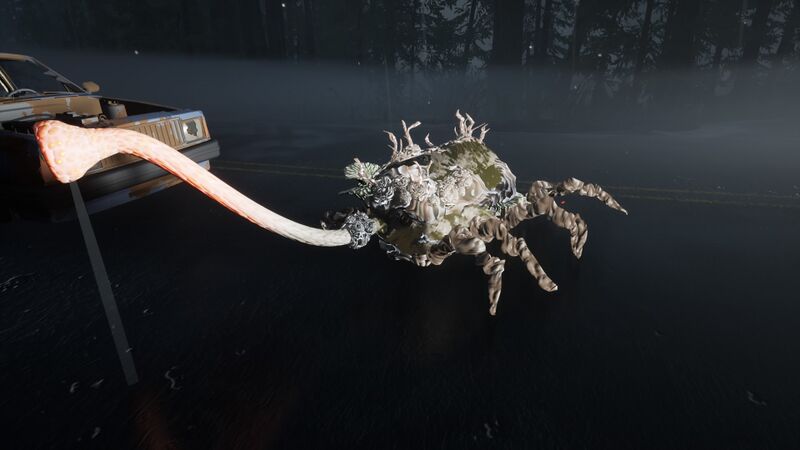 File:Harvestman on The Road.jpg